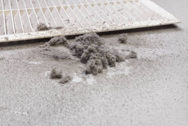 Best Local Air Duct Cleaning Services  in Alma, NE